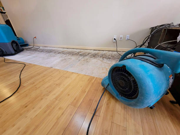 Professional Flood Damage Cleanup technician working in Ovid, MI
